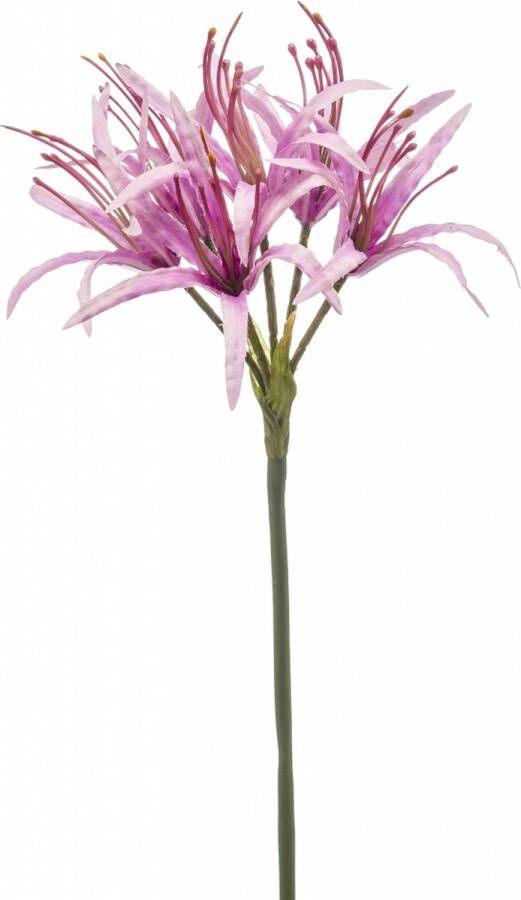 Fleurdirect Kunstbloem Nerine Polyester Paars 0 x 72 x 0 cm (BxHxD)