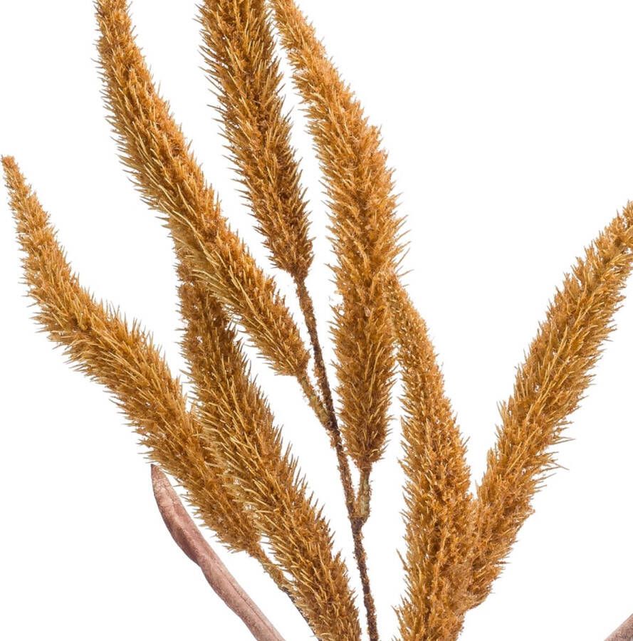 Fleurdirect Kunstbloem Pampas Spray Polyester Oranje 0 x 90 x 0 cm (BxHxD)