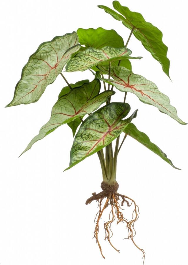 Easyplants Kunstplant Caladium Groen Polyester Groen Rood 35x0x0cm (hxbxd) Woonexpress