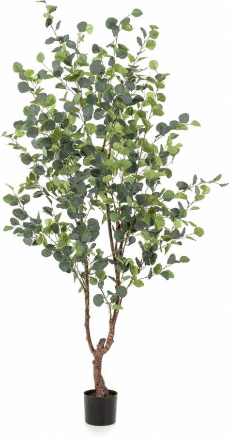 Woonexpress Kunstplant Eucalypthus Groen Polyester Groen 180x0x0cm (hxbxd)