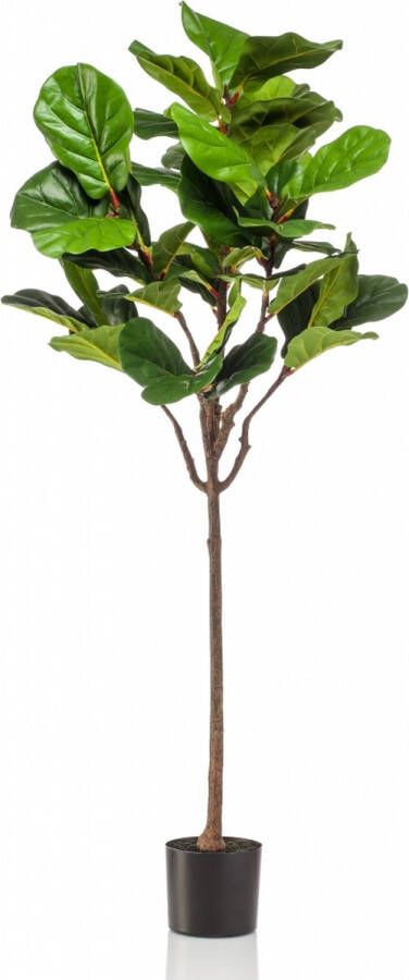 Easyplants Kunstplant Ficus Groen Polyester Groen 155x0x0cm (hxbxd) Woonexpress