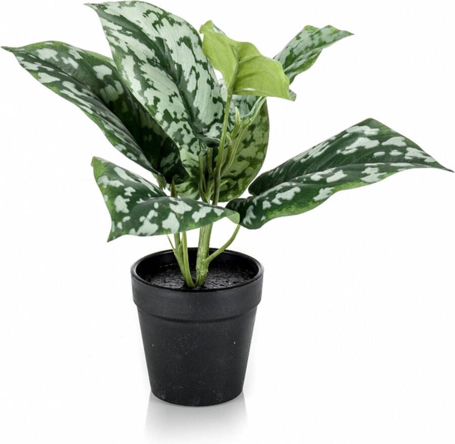 Fleurdirect Kunstplant Scindapsus Groen Polyester Groen 24x0x0cm (hxbxd) Woonexpress