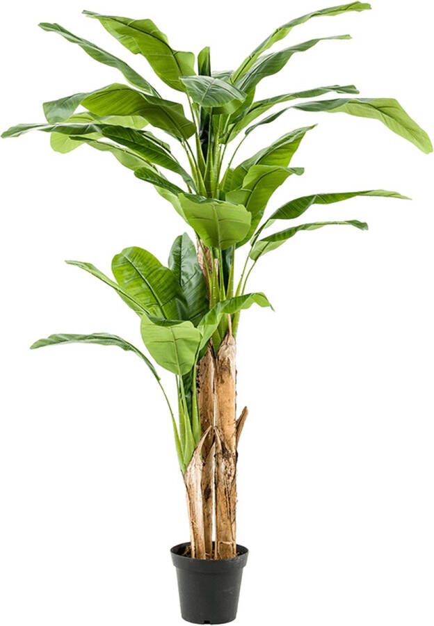 Fleur.nl Kunstplant Bananen Groen Polyester Groen 210x0x0cm (hxbxd) Woonexpress