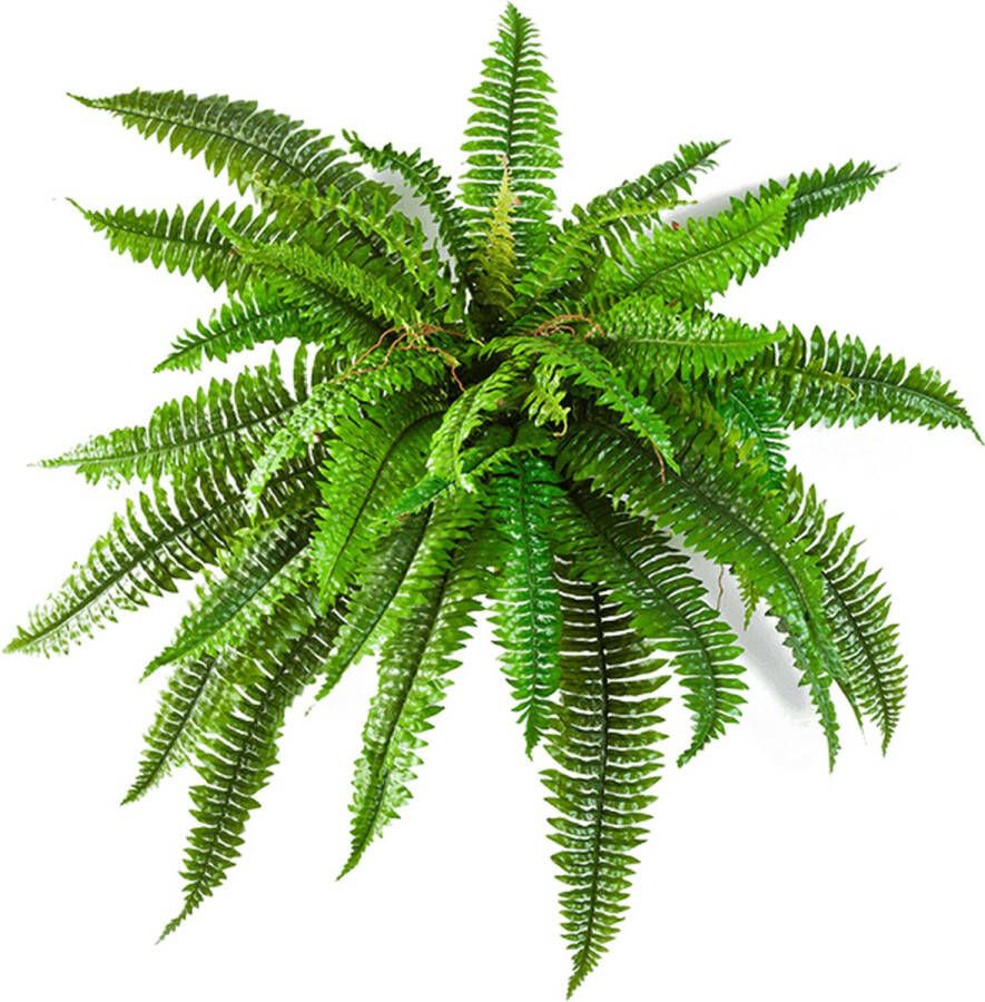 Plantenwinkel.nl Plantenwinkel Kunstplant Boston varen M