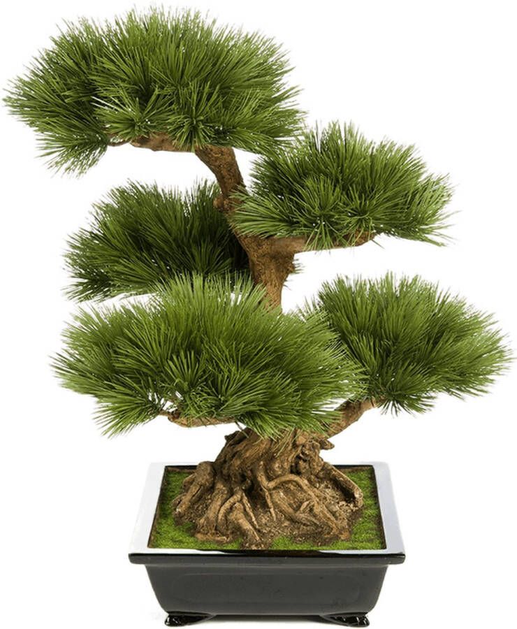 Plantenwinkel.nl Plantenwinkel Kunstplant Pinus bonsai L
