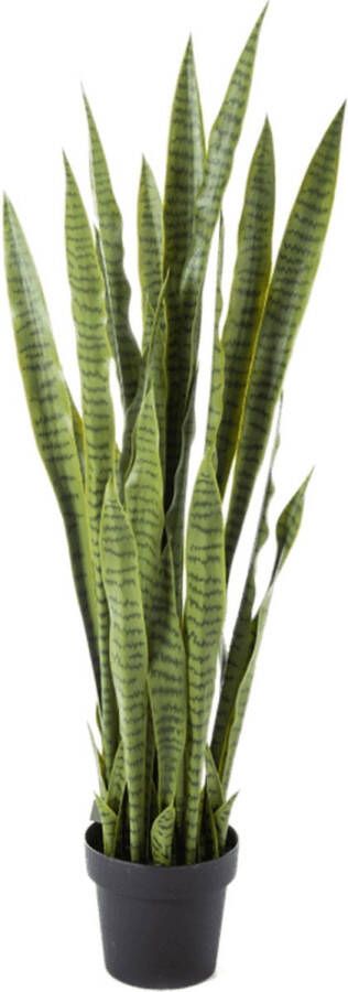 Plantenwinkel.nl Plantenwinkel Kunstplant Sansevieria XL