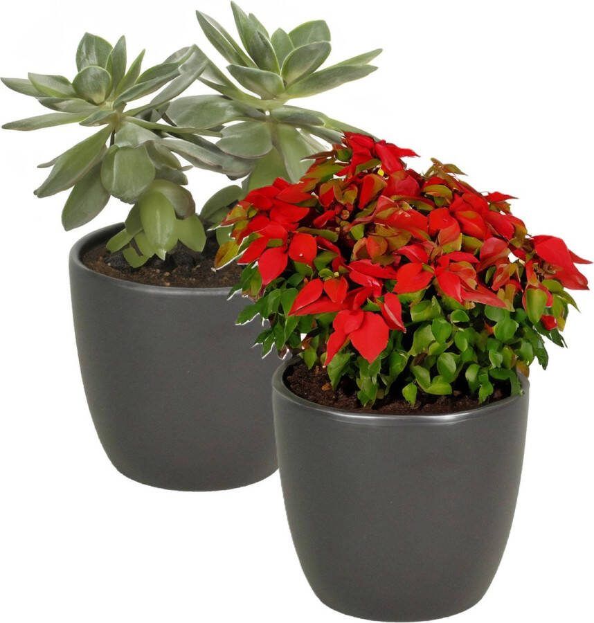 Floran 2x stuks bloempot in kleur mat antraciet grijs keramiek voor kamerplant H13.5 x D15.5 cm- plantenpotten binnen