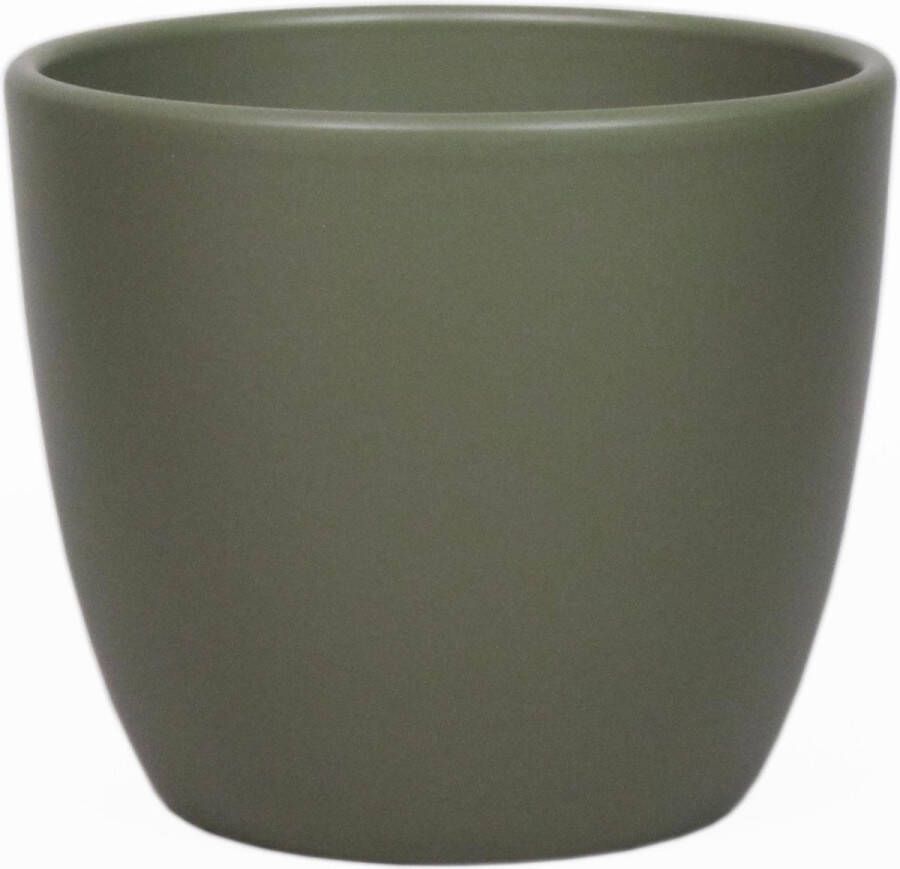 Floran Bloempot in kleur mat dennen groen keramiek voor kamerplant H13.5 x D15.5 cm- plantenpotten binnen