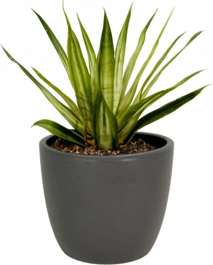 Floran bloempot plantenpot Atmosphera mat antraciet grijs keramiek D13 x H12 cm