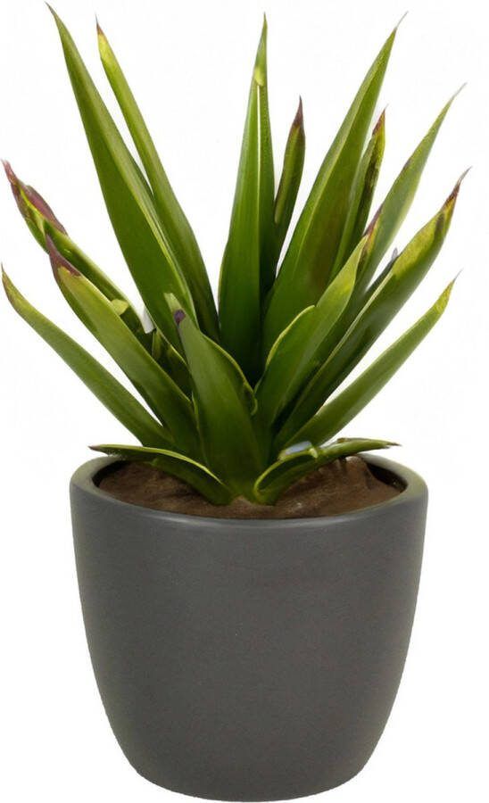 Floran bloempot plantenpot Atmosphera mat antraciet grijs keramiek D19 x H17 cm