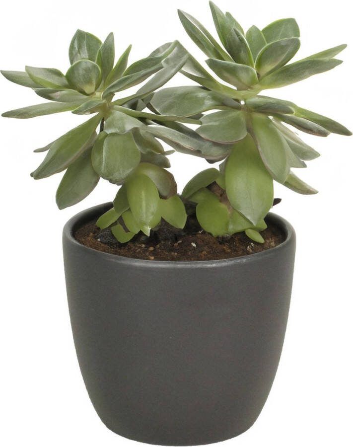 Floran bloempot plantenpot Atmosphera mat antraciet grijs keramiek D36 x H29 cm