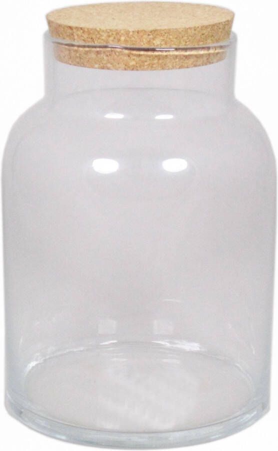 Floran Glazen terrarium vaas 11 liter met kurk deksel 21 x 31 cm Plantenpot van glas
