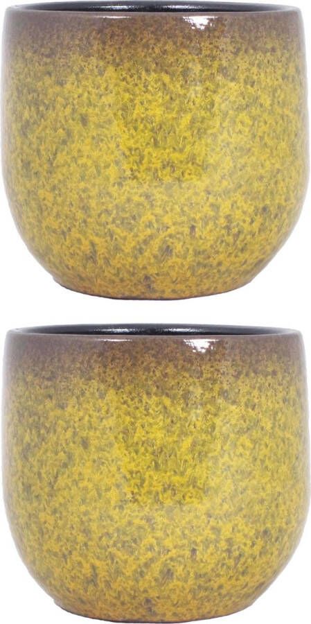 Floran Set van 2x stuks keramiek aardewerk bloempot van H14 x D16 cm in het een goud geel flakes motief- plantenpotten