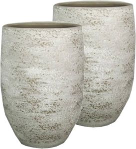 Floran Set van 2x stuks vazen of hoge plantenpotten van keramiek grijs wit met diameter 26 cm en hoogte 40 cm Voor binnen gebruik