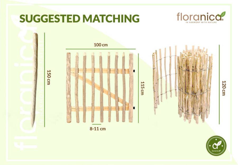 Floranica Tuinhek Hazelaar Lengte: 2 5 m Hoogte: 60 cm Stavenafstand: 4-6 cm Borderrand Houten Hek Rolborder Paal voor Hekwerk Perkafscheiding Hondenhek