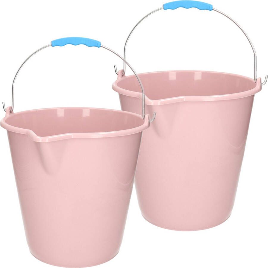Forte Plastics 2x stuks kunststof emmers met schenktuit oud roze 12 liter Emmers