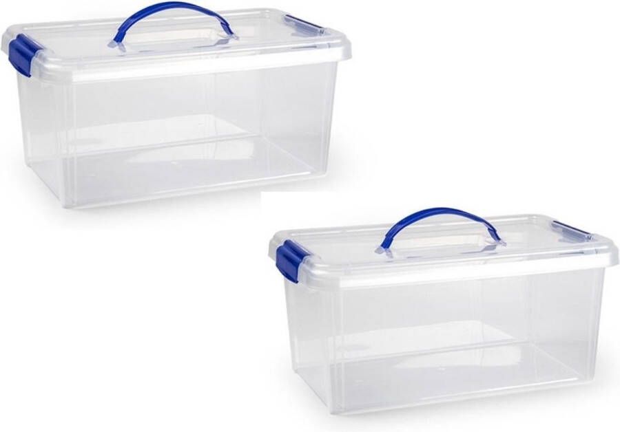 Forte Plastics 2x stuks opslagbak organizer met deksel 10 liter transparant Opbergbakken 38 5 x 23 x 17 5 cm
