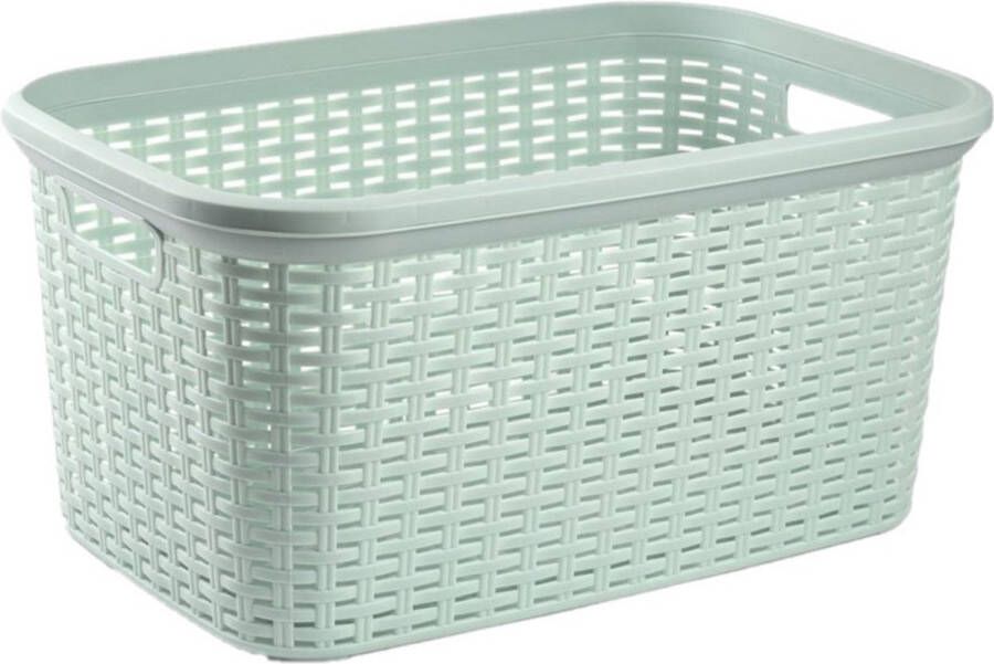Forte Plastics Set van 2x stuks kunststof open rotan wasmanden van 35 liter mintgroen Badkamer wasmand manden 53 x 36 x 26 cm