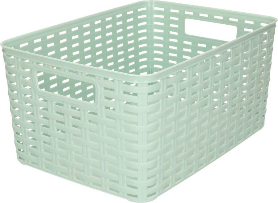 Forte Plastics Rotan gevlochten opbergmand opbergbox kunststof Mintgroen 22 x 33 x 16 cm Kast mandjes