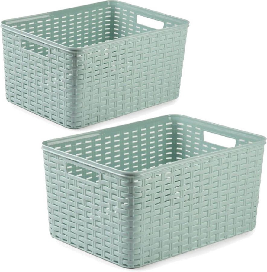 Forte Plastics Set van 5x stuks opbergboxen opbergmandjes rotan mintgroen kunststof met inhoud 10 en 18 liter