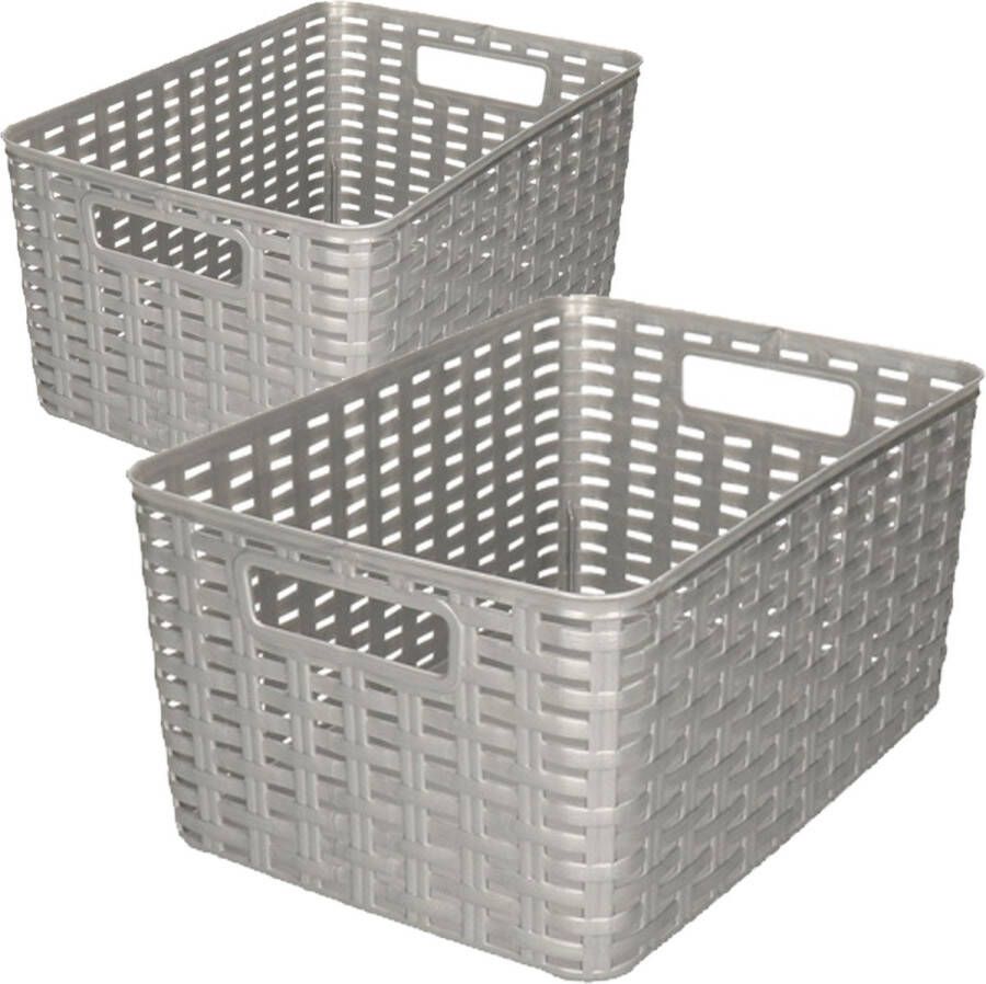 Forte Plastics Set van 5x stuks opbergboxen opbergmandjes rotan zilver kunststof met inhoud 10 en 18 liter
