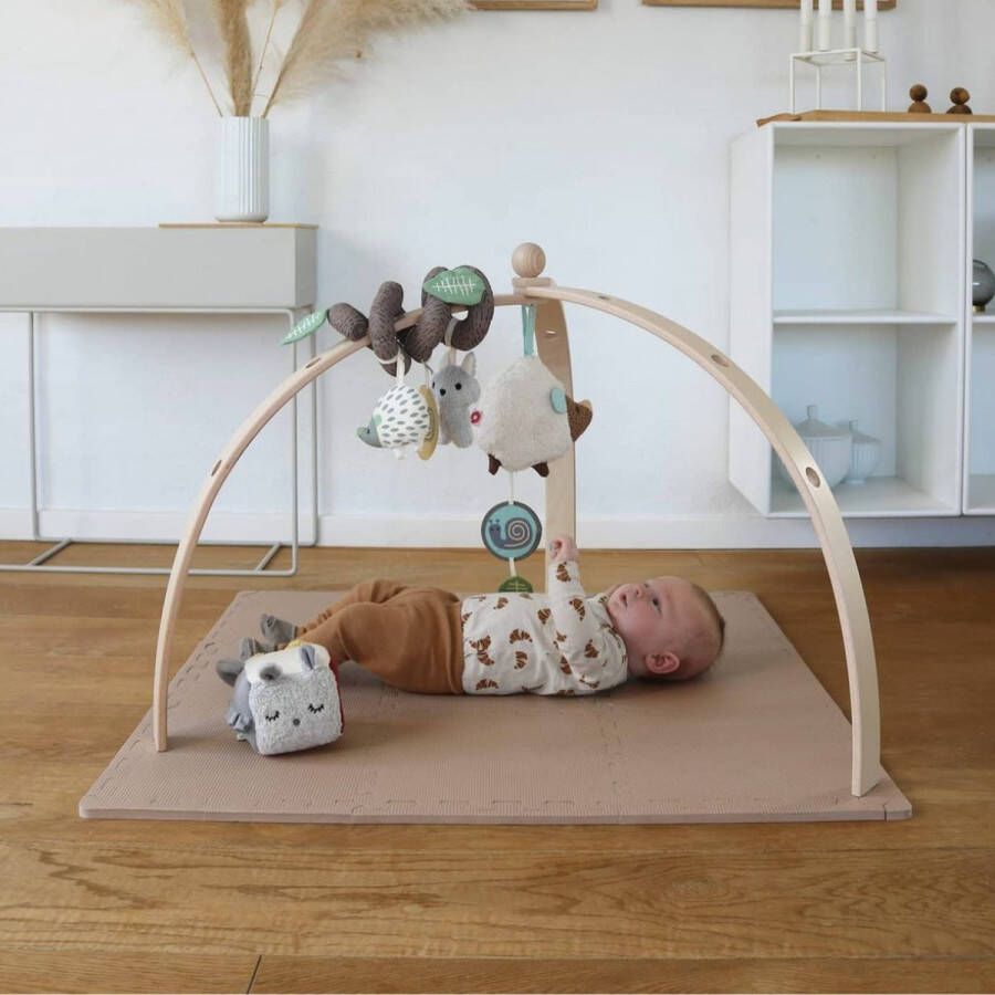 Franck & Fischer BabySpyder Babygym hout