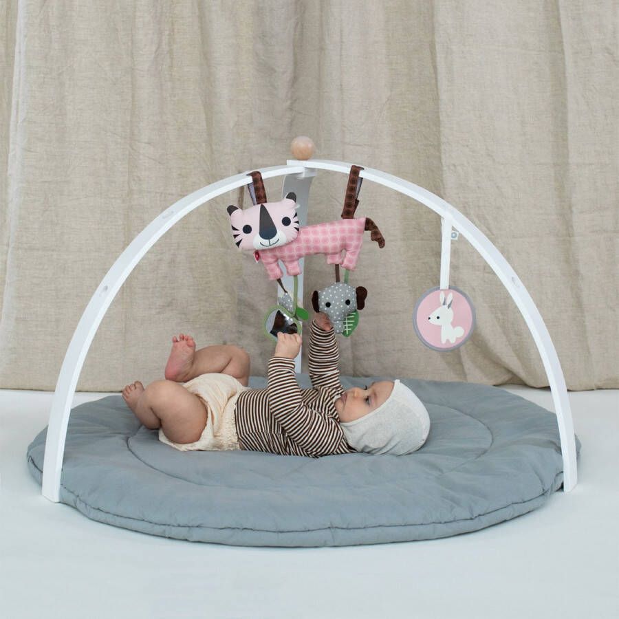 Franck & Fischer BabySpyder Babygym wit