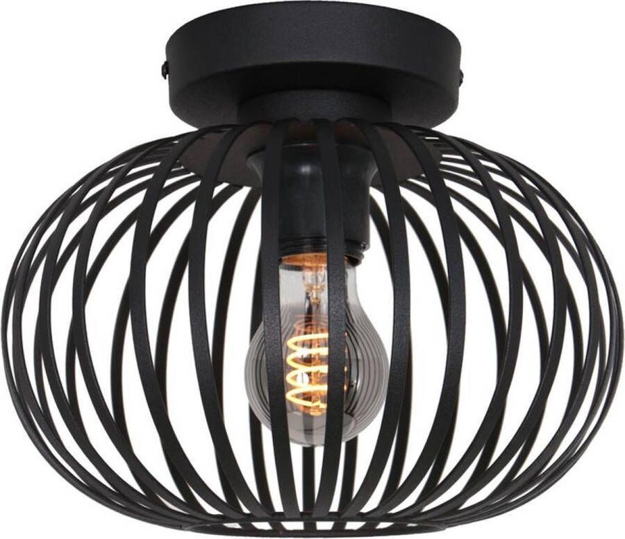 Freelight Aglio plafondlamp met metalen spijlen kap Ø25 cm excl. E27 lichtbron zwart