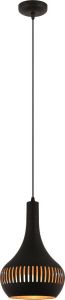 Freelight Hanglamp Canna Zwart Goud 1 Lichts E27