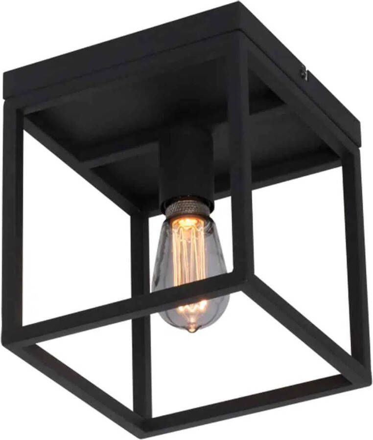 Freelight Novanta plafondlamp vierkant 22 cm breed E27 metaal frame zwart