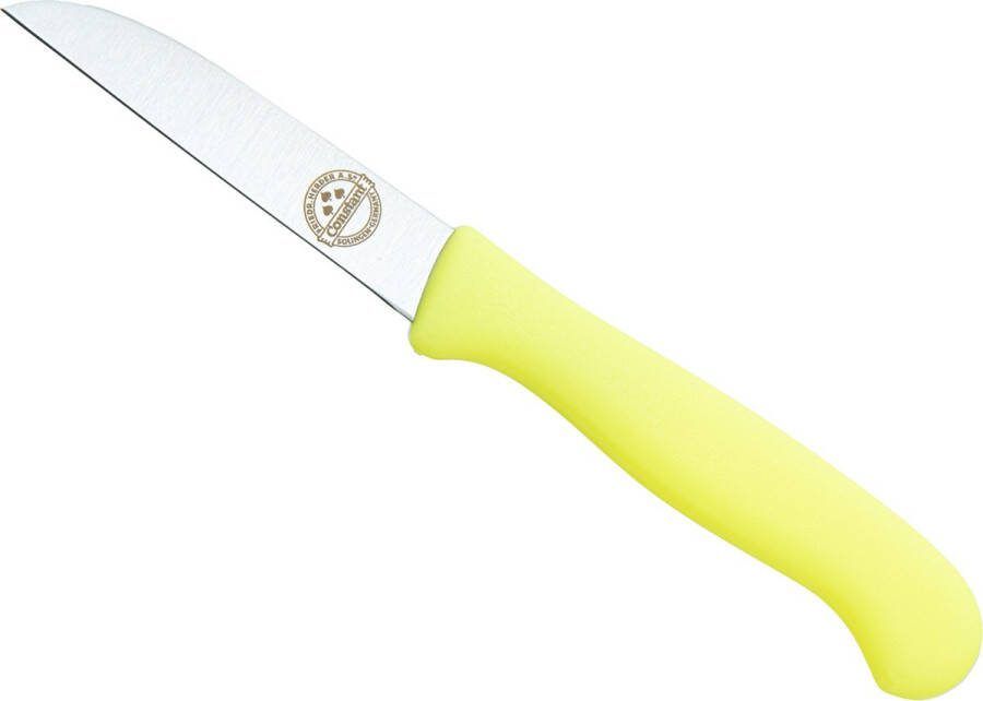 Friedrich Herder Constant Schilmes Kunststof Neon Geel