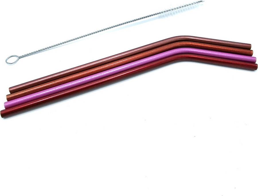 Gadgetpoint Metalen RVS Rietjes Multicolor Metal Straws Cocktails Drankjes Milieuvriendelijk & Duurzaam Set van 4 rietjes + schoonmaak borstel Sinterklaas Cadeau Kerst Cadeau Kerstmis