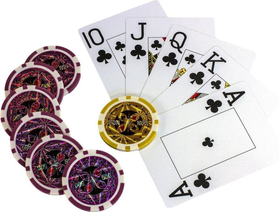 GAMES PLANET Pokerset Koffer 1000 Chips Speelkaarten Aluminium Zilver