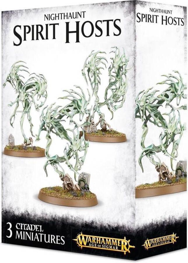 Games Workshop Warhammer Age of Sigmar Nighthaunt Spirit Hosts