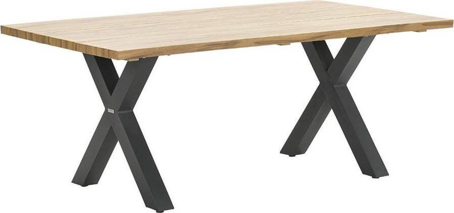 Warentuin Garden Impressions Zeus Dining Tafel 180x100 -X-stijl-black teak Look