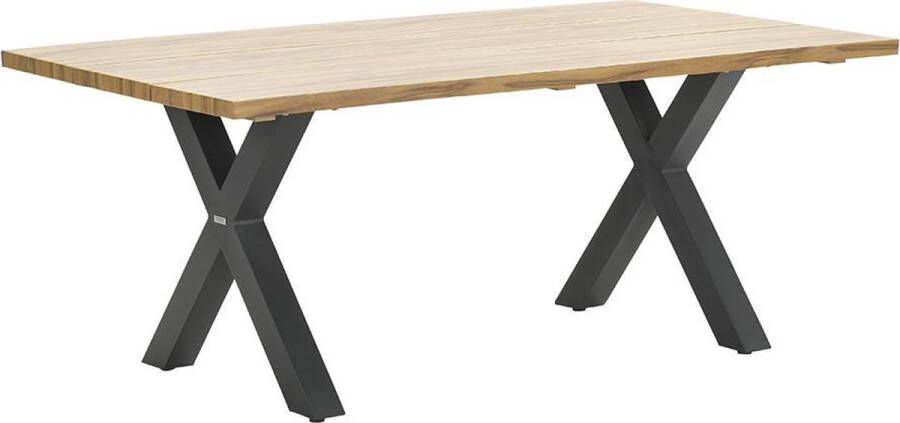 Warentuin Garden Impressions Zeus Dining Tafel 180x100 -X-stijl-black teak Look