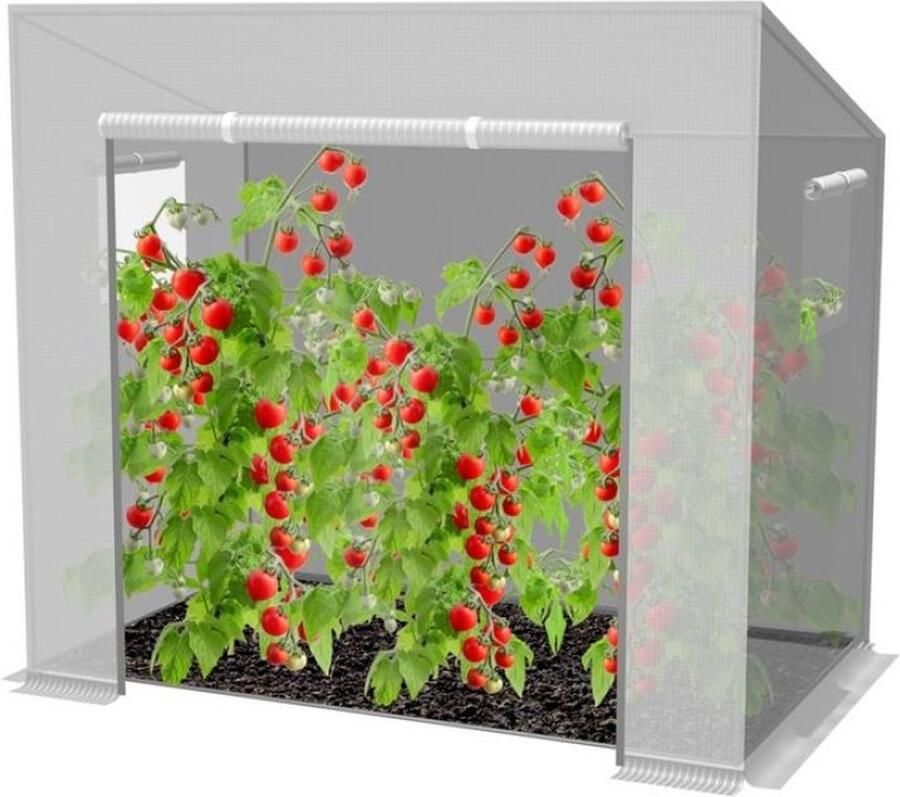 Garden Line Tuinkas voor Gewassen 200x77x168 146 cm Wit Foliekas Moestuin Hobbykas Kweekkas