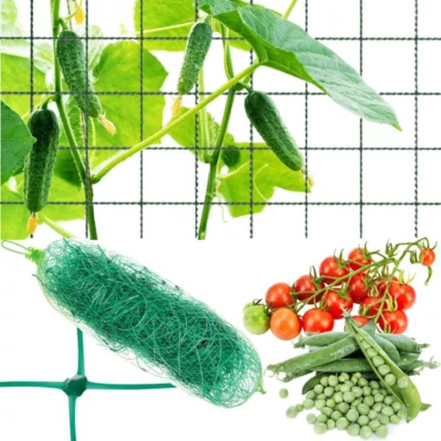 Gardlov Versterkt groen net voor verticale groei klimplanten 2x10m