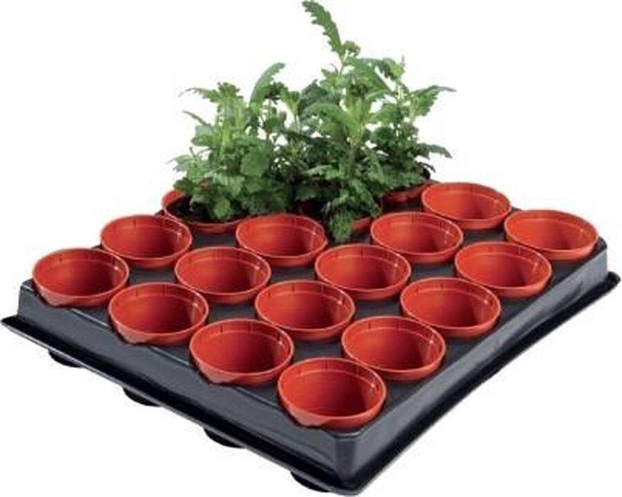 Garland Tray met 20 kweekpotjes 6 cm