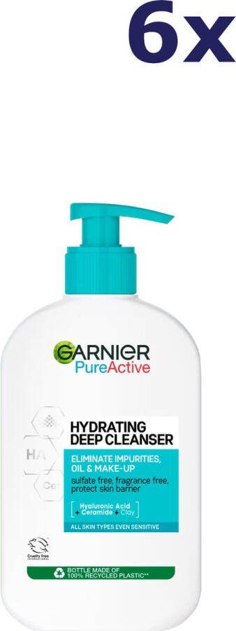 Garnier 6x PureActive Hydraterende Gezichtsreiniger 250 ml