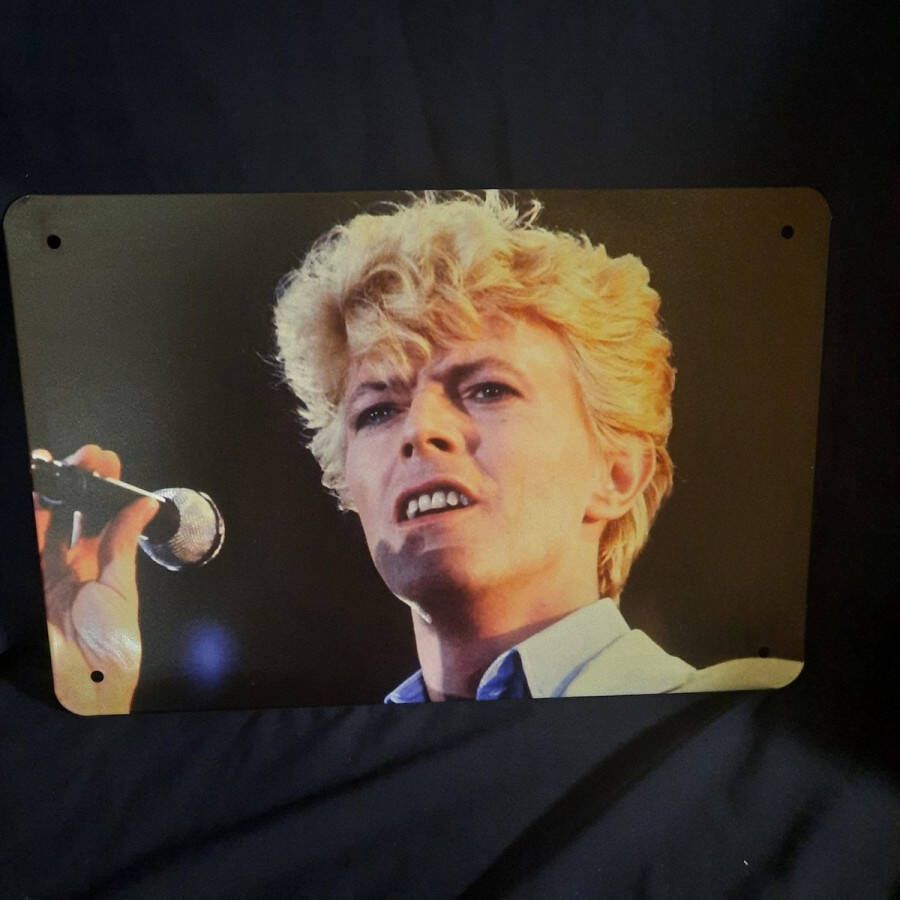 Geem David Bowie wanddecoratie. wandbord