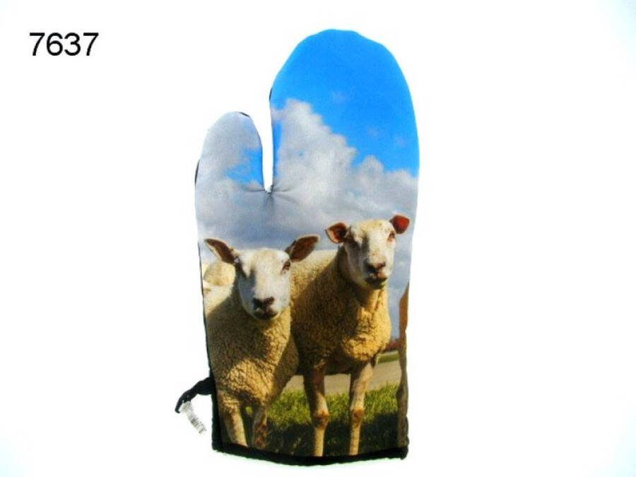 Geharo Ovenwant Schapen