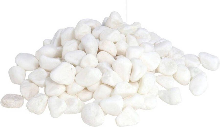 Gerimport Grote witte planten decoratie kiezel steentjes stenen 4400 gram ongeveer 2-4 cm Decoratie steentjes voor o.a aquarium of bloempot