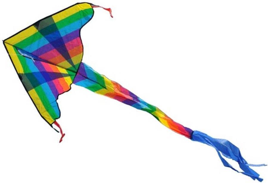 Gerkimex Vlieger coloured dragon 102x57cm