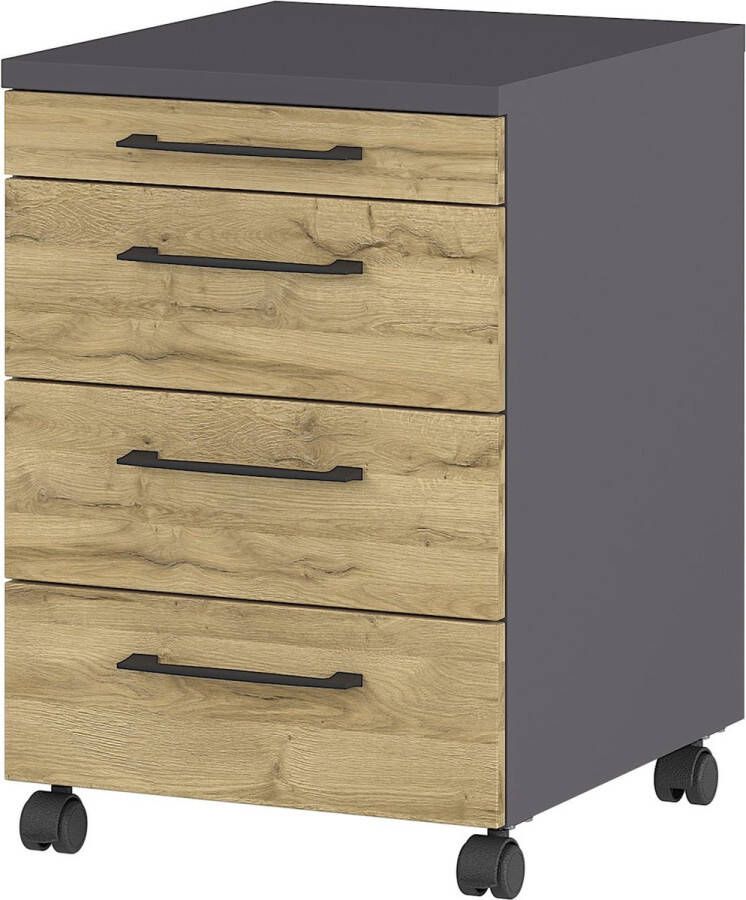 Germania Rolkast Gw-profi 2.0 42x49x61 Cm Grafiet Grandson Eikenkleur