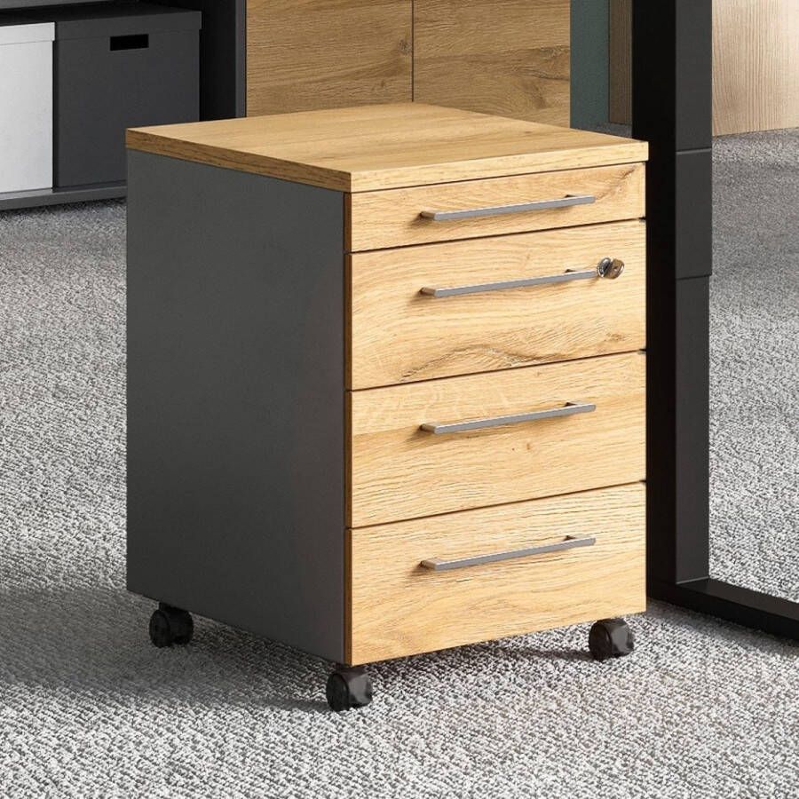 Germania -Rolkast-GW-Agenda-42x49x61-cm-grafiet-Grandson-eikenkleurig - Foto 2