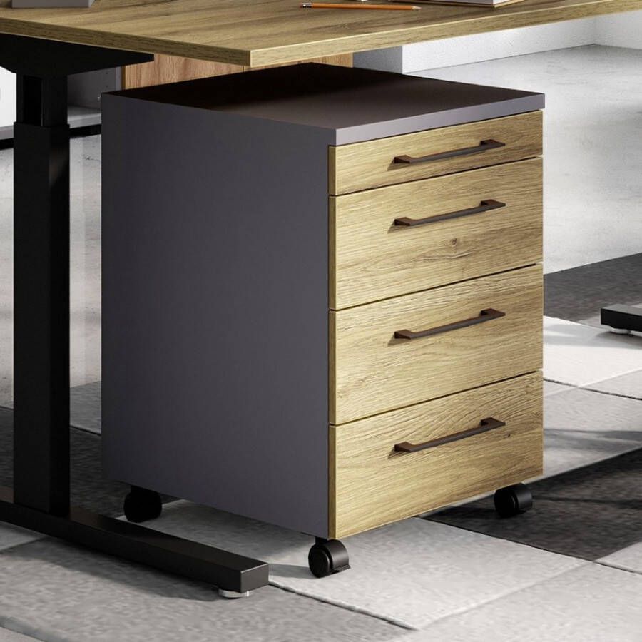 Germania Rolkast GW-Profi 2.0 42x49x61 cm grafiet Grandson eikenkleur - Foto 2