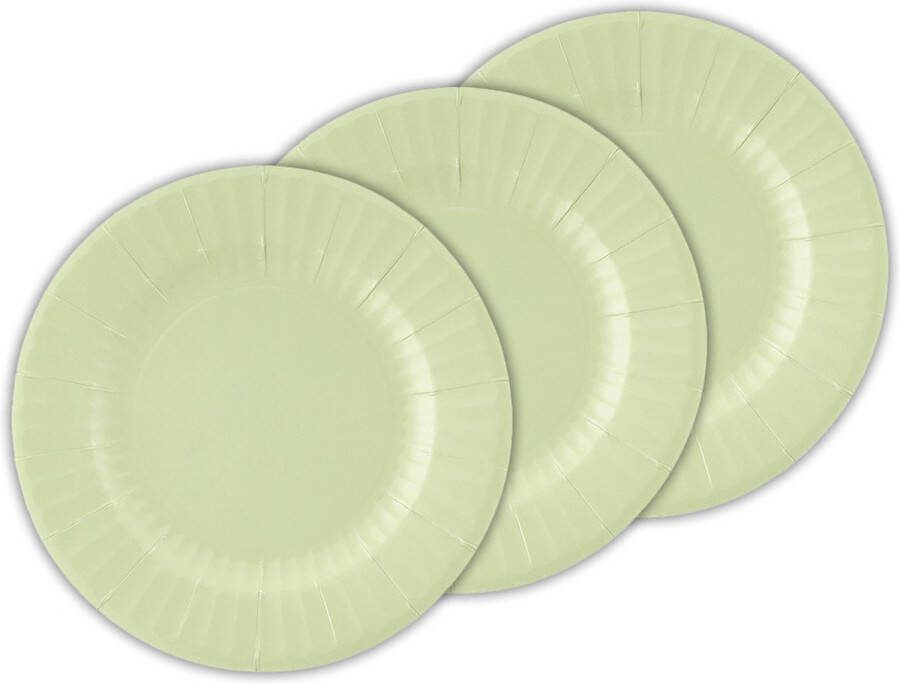 Givi Italia Feestbordjes gebaksbordjes 40x mintgroen rond papier karton 21cm biologisch afbreekbaar groot