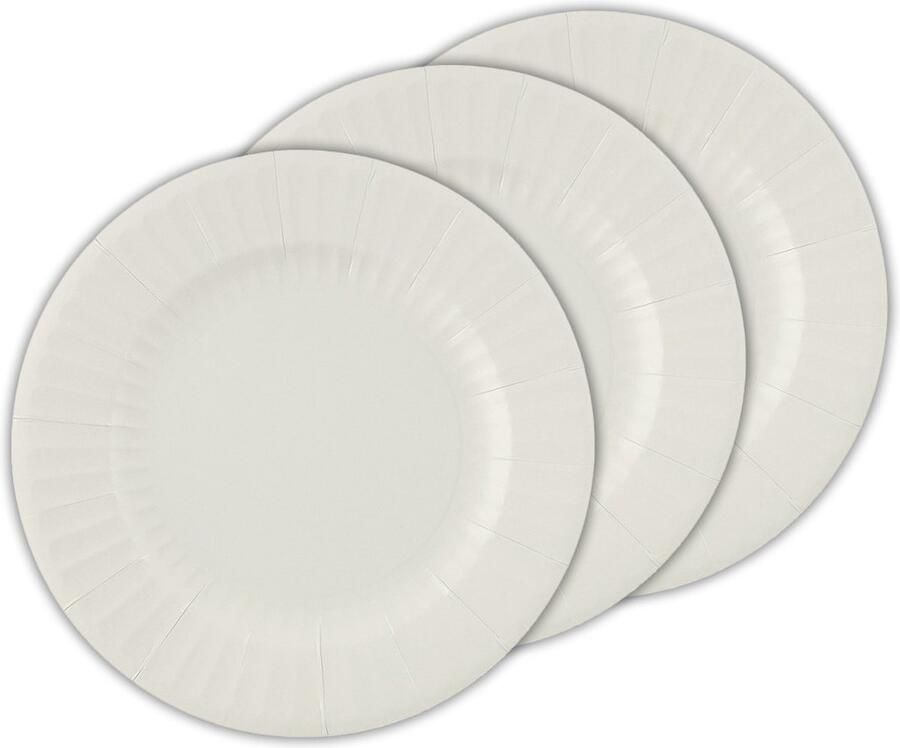 Givi Italia Feestbordjes gebaksbordjes 24x zilver grijs rond papier karton 21cm biologisch afbreekbaar groot