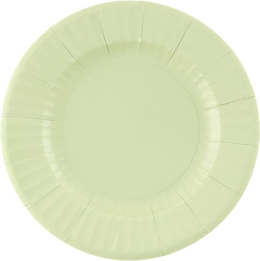 Givi Italia Feestbordjes gebaksbordjes 8x mintgroen rond papier karton 21cm biologisch afbreekbaar groot